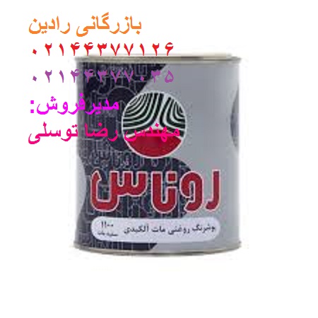 فروش اینترنتی رنگ روغنی مات روناس