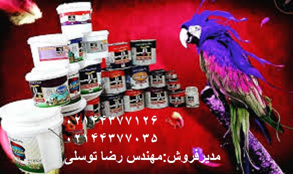 نمایندگی رنگ بارک در تهران