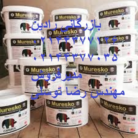رنگ نما مورسکو کاپارول هاویلوکس